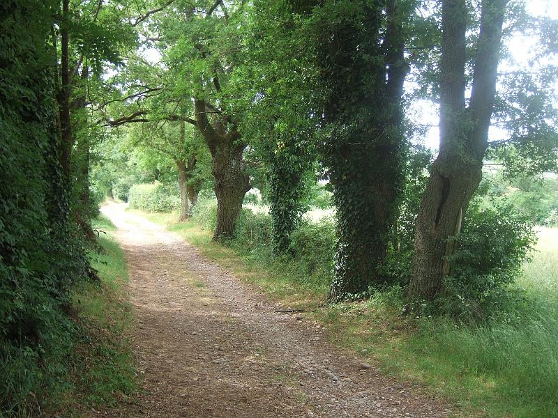 2011-05- (191).JPG